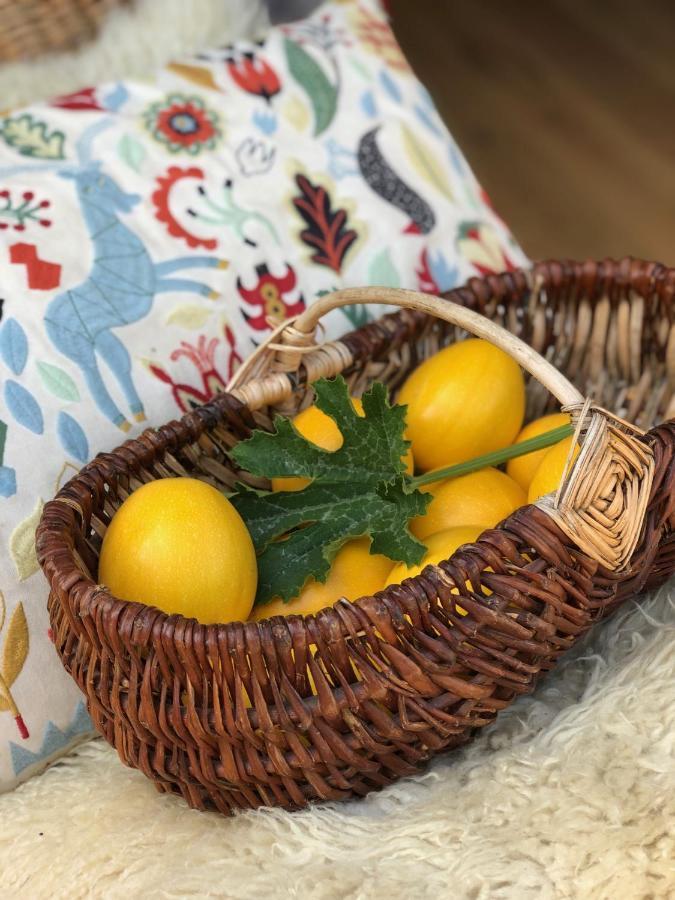 Rejaillir Bed and Breakfast Saint-Ours  Εξωτερικό φωτογραφία