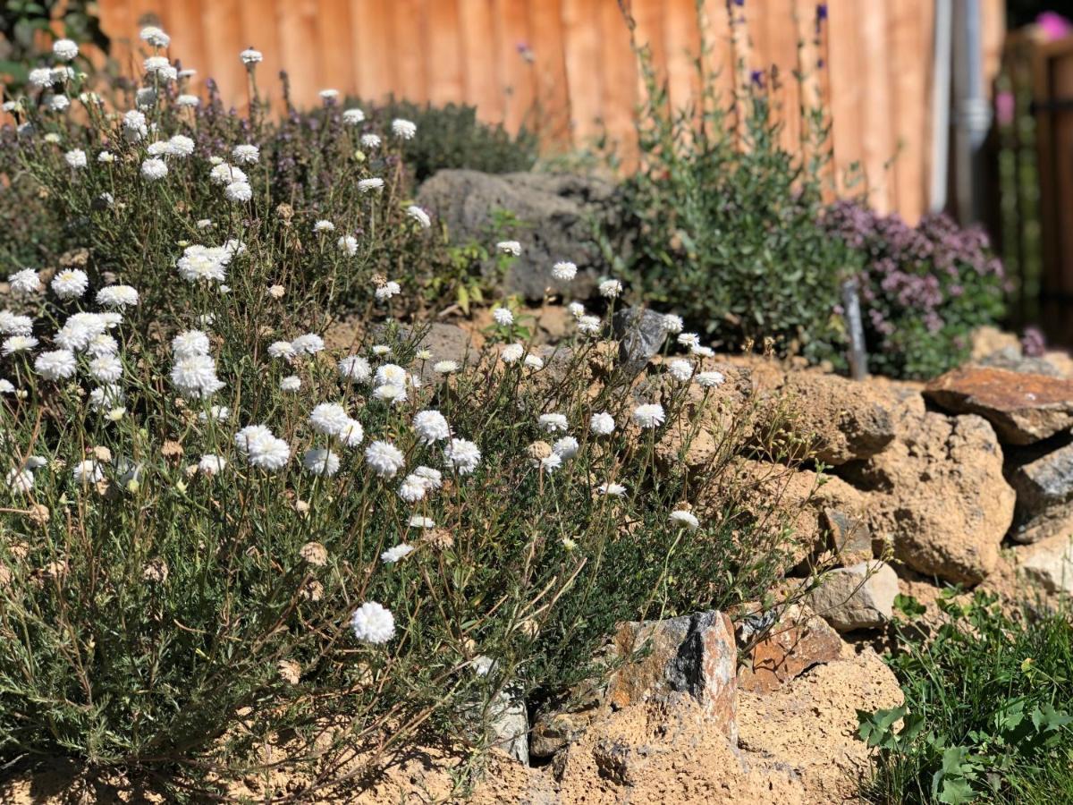 Rejaillir Bed and Breakfast Saint-Ours  Εξωτερικό φωτογραφία